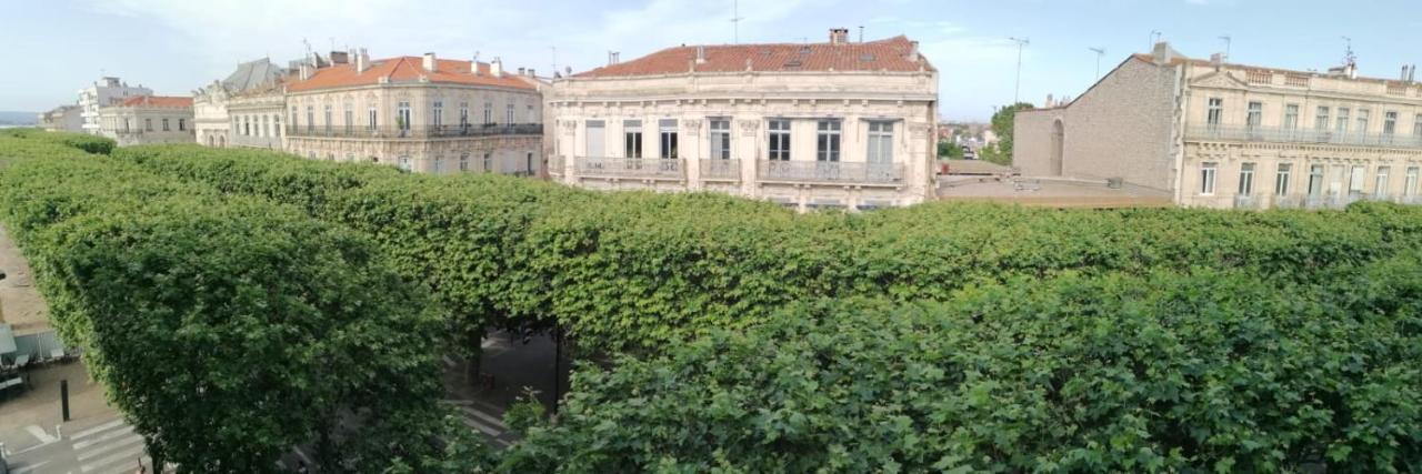 Studio Le Voltaire Sublime & Cosy Proche Gare De Sete Sète Exterior foto